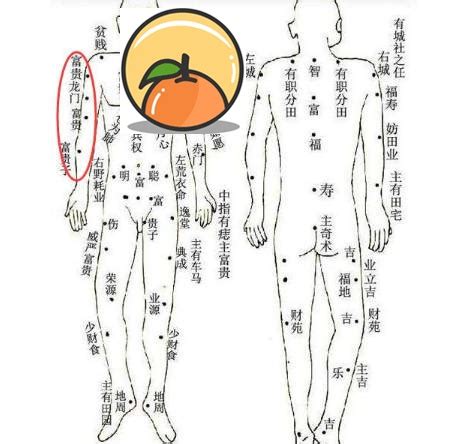 小手臂內側有痣|從手上的痣看你的好運在哪？上手臂有痣善於察言觀色。